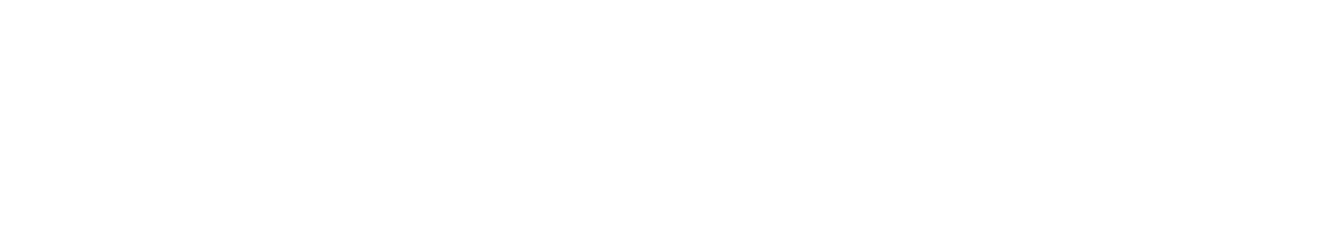 RITEFANS Logo transparent